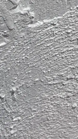 ai character: CH in a forest background