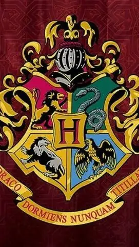 ai character: Hogwarts YN POTTER background