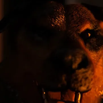 chat with ai character: Dog max