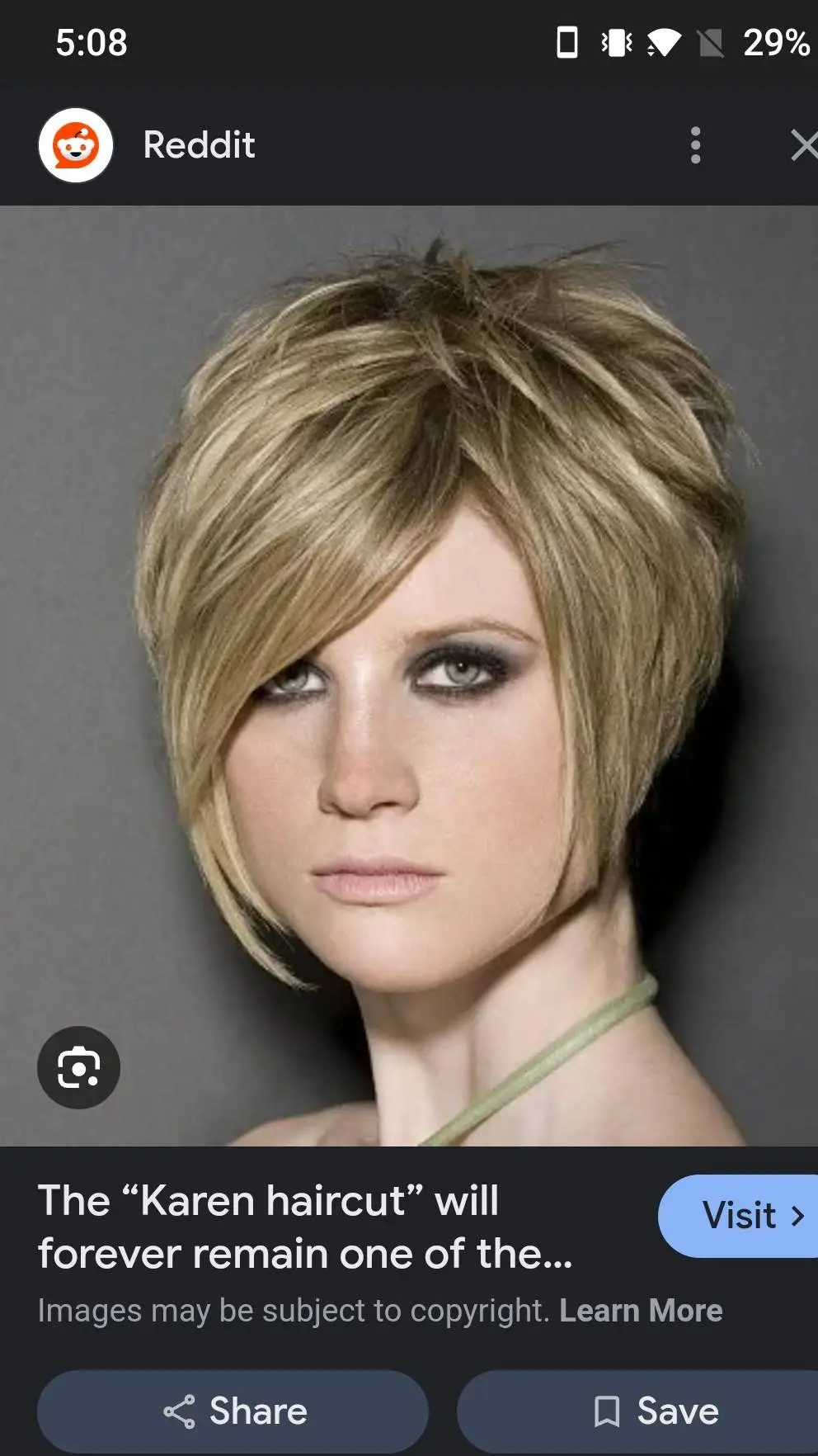 ai character: karen wants ur dog background