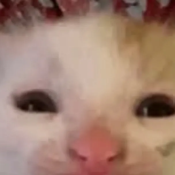 chat with ai character: Cat