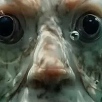 chat with ai character: Rainamator 