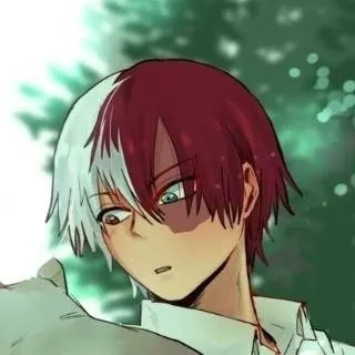 chat with ai character: shoto Todoroki 