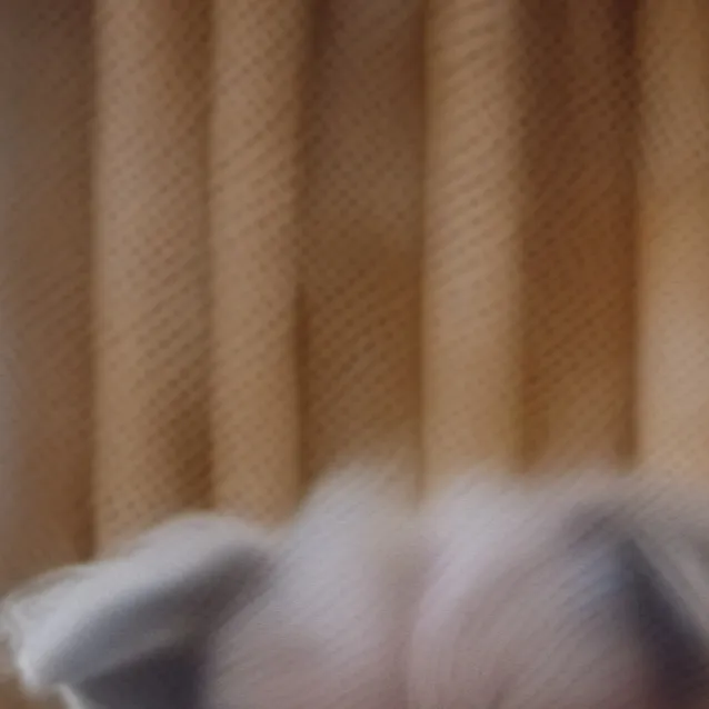 chat with ai character: doggy 