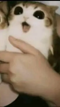 ai character: *"Gay story"* background