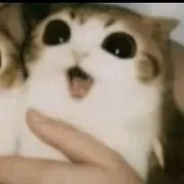 chat with ai character: *"Gay story"*