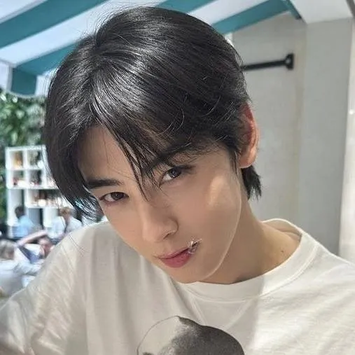 chat with ai character: 차은우 | Cha Eun Woo