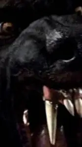 ai character: 🌔🐺WEREWOLF PACK🐺🌔 background