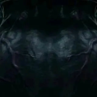 chat with ai character: 🌘💀XENOMORPH HIVE💀🌒