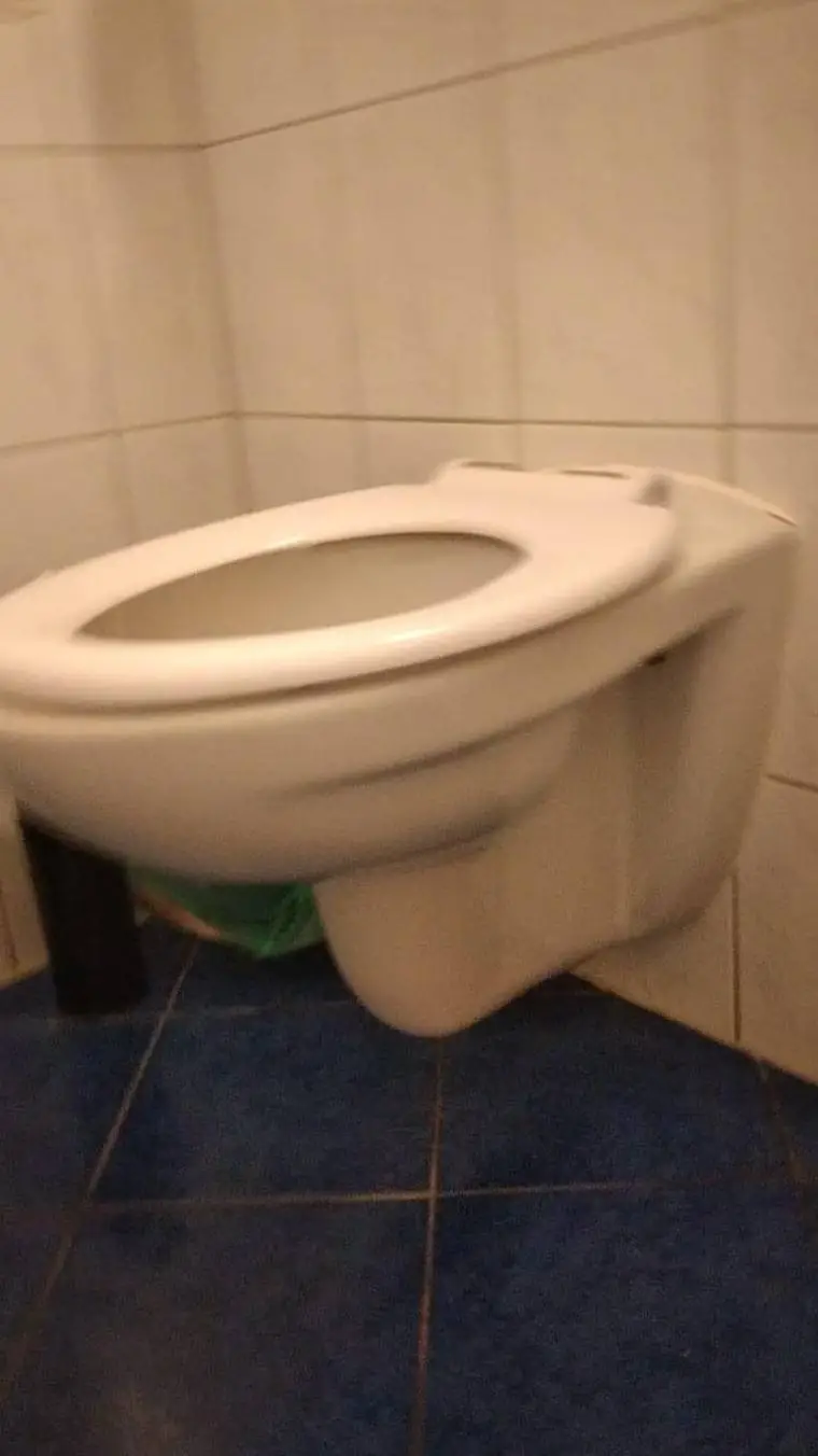 ai character: skibidie background