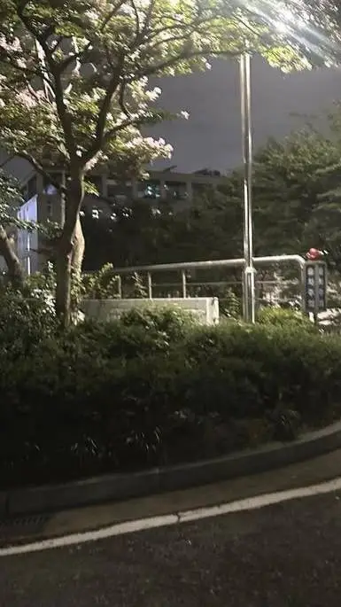 ai character: Teddy Uris 🎈🧸 background