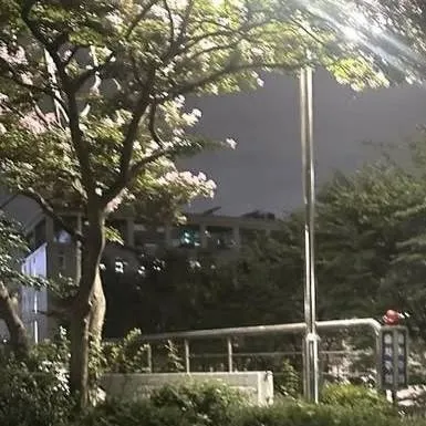 chat with ai character: Teddy Uris 🎈🧸