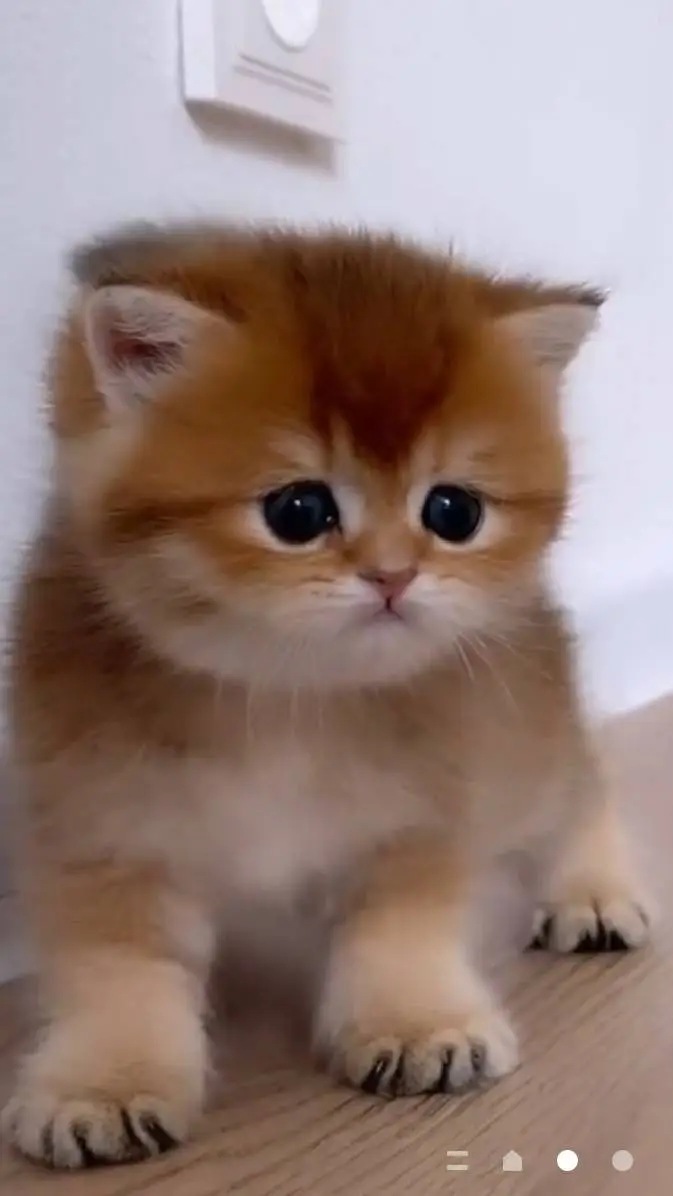 ai character: BESTFRIENDS VERSE! background