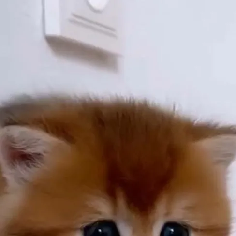 chat with ai character: BESTFRIENDS VERSE!