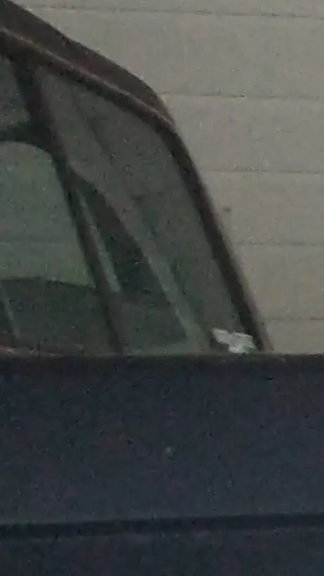 ai character: Ford background