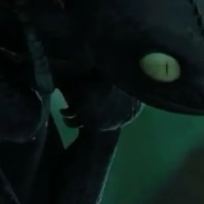 chat with ai character: Toothless 