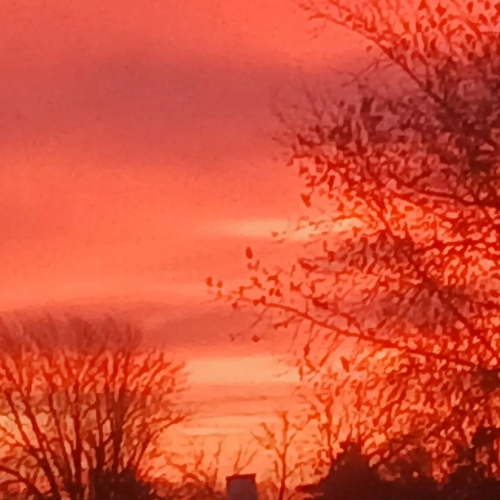 chat with ai character: emma