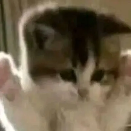 chat with ai character: uppies kitty 