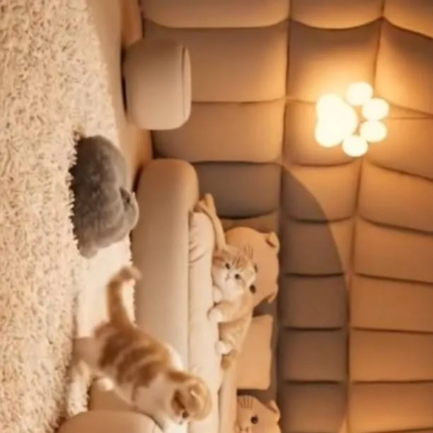 chat with ai character: SCOTTISH FOLD ROOM