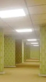 ai character: M.E.G Backrooms  background