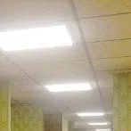 chat with ai character: M.E.G Backrooms 