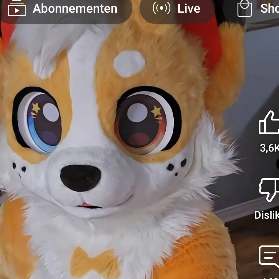 chat with ai character: corgicam new girl