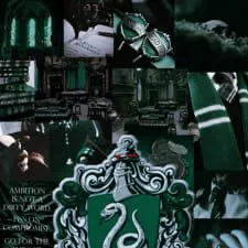 chat with ai character: SLYTHERIN GANG 