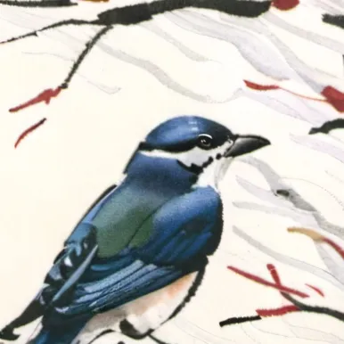 chat with ai character: Birds💥💥💥💥💥