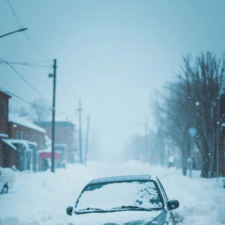 chat with ai character: Blizzard 