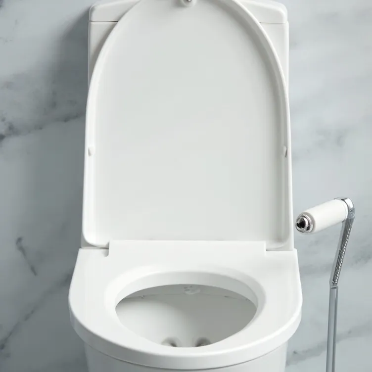 chat with ai character: Toilet