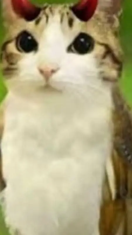 ai character: demon meowl>:)  background