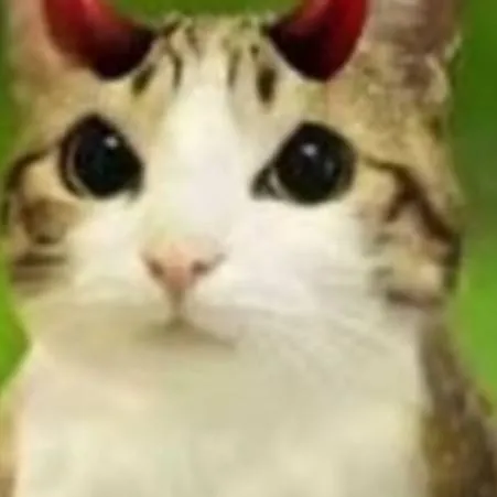 chat with ai character: demon meowl>:) 