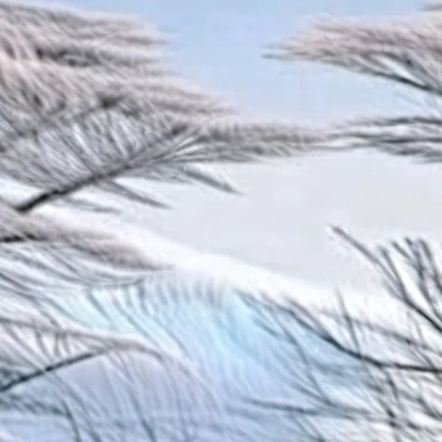 chat with ai character: BoBoiBoy ice