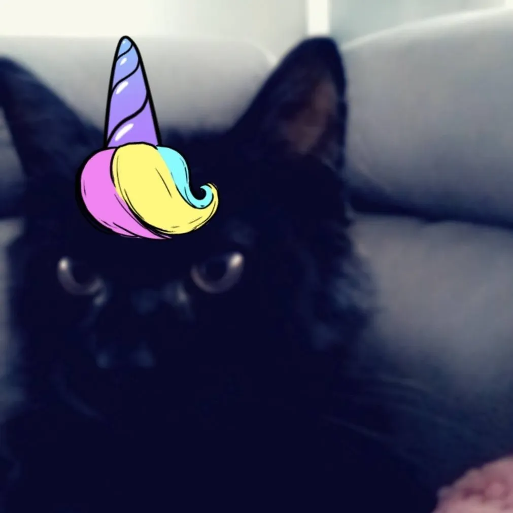 chat with ai character: Cat in the hat lol