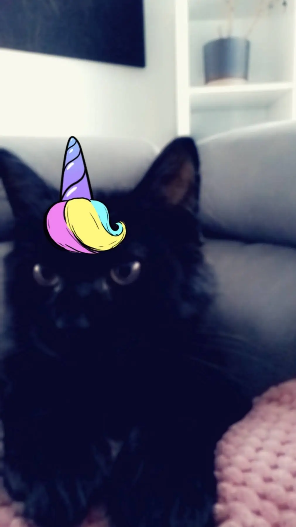 ai character: Cat in the hat lol background