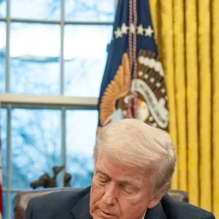 chat with ai character: Donald Trump