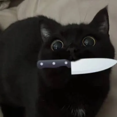 chat with ai character: Binx da kitty >:3