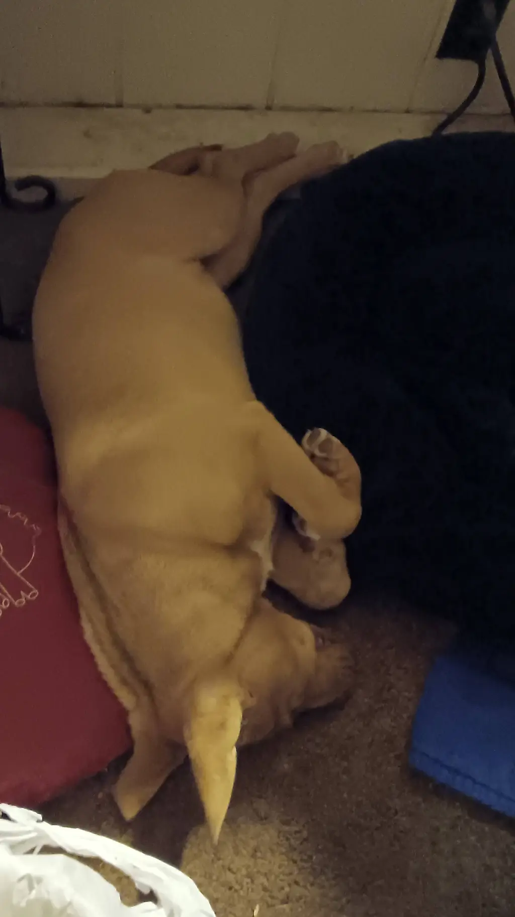 ai character: idfk background