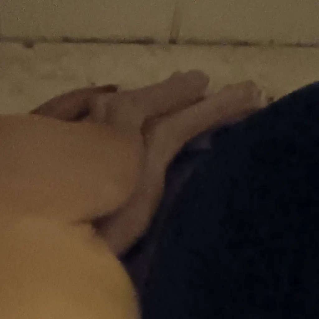 chat with ai character: idfk