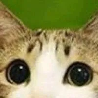 chat with ai character: Powerful y/n