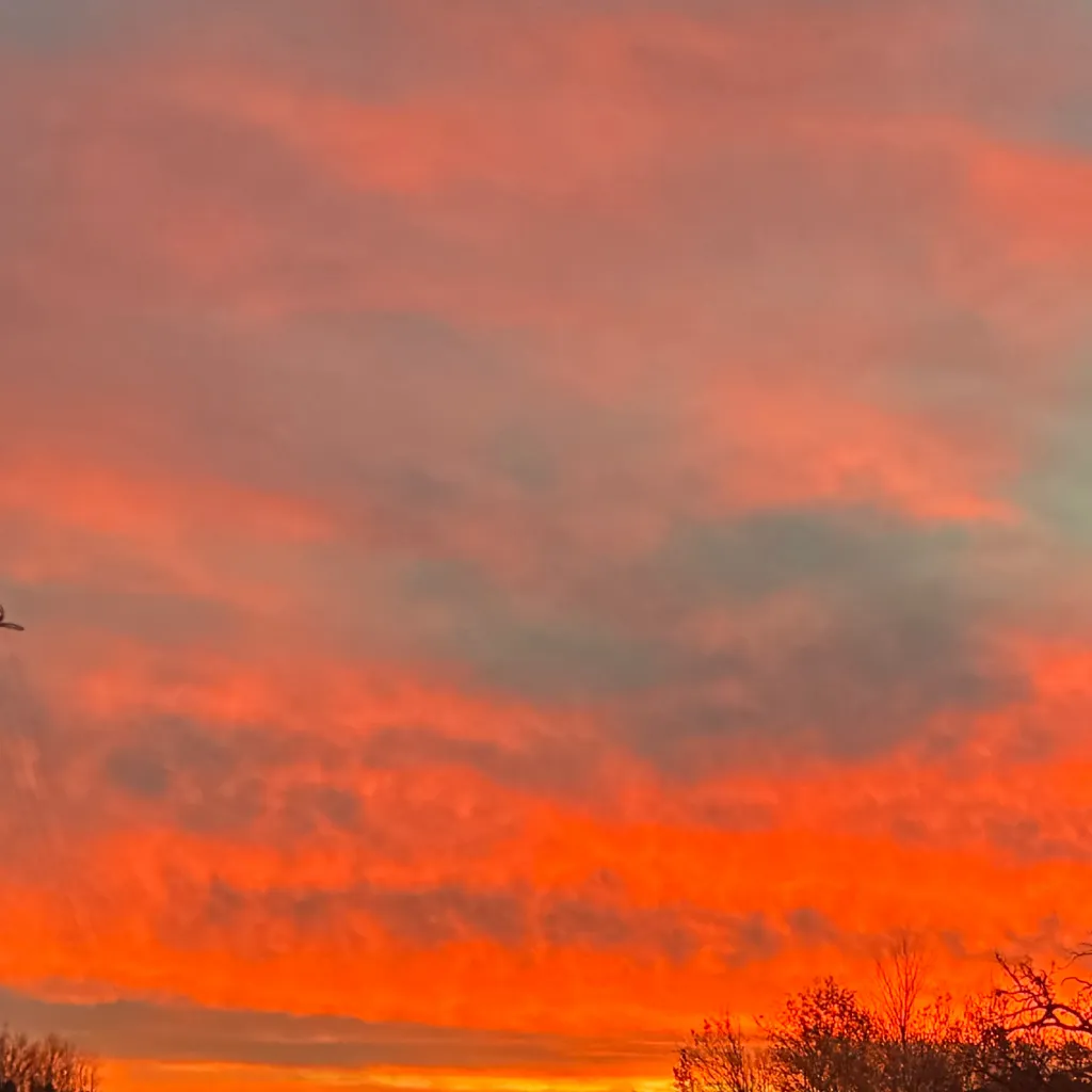 chat with ai character: OBX