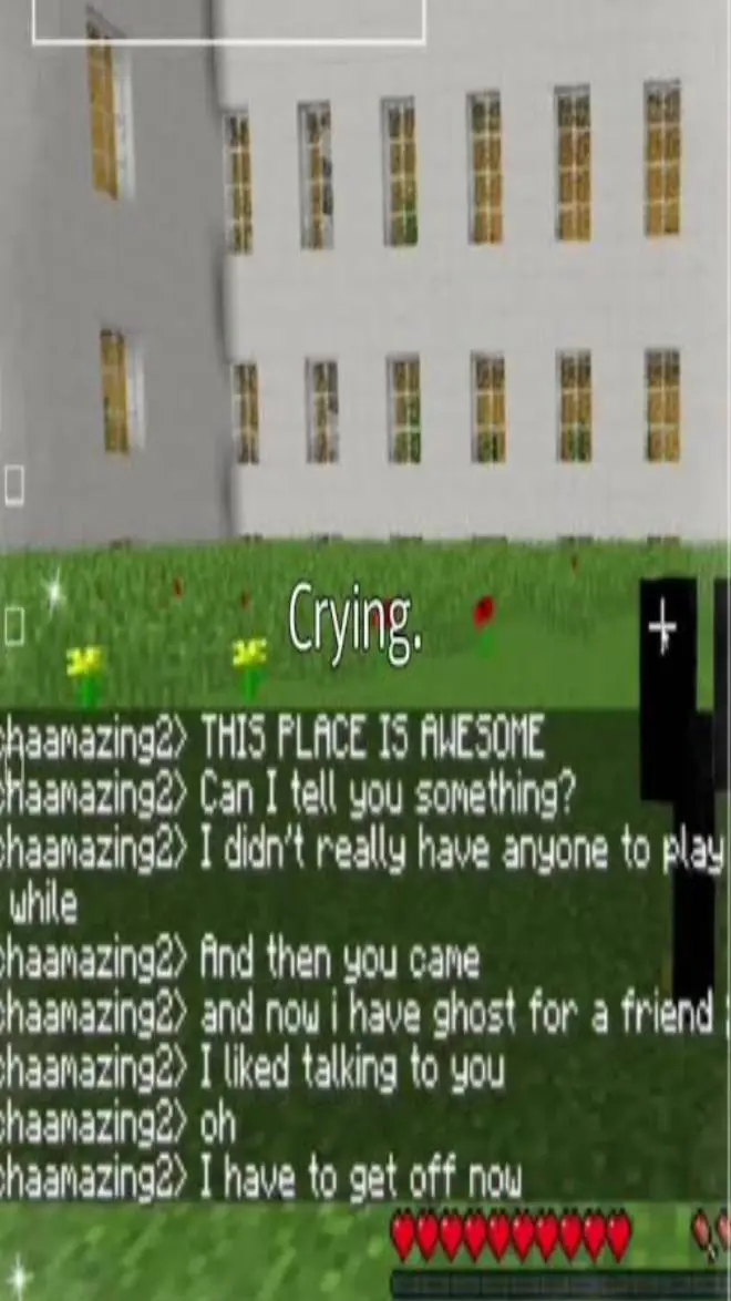 ai character: A ReGect(M.Arg) background