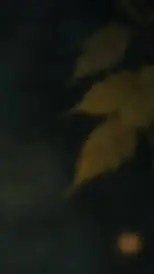 ai character: akariipaws background