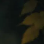 chat with ai character: akariipaws