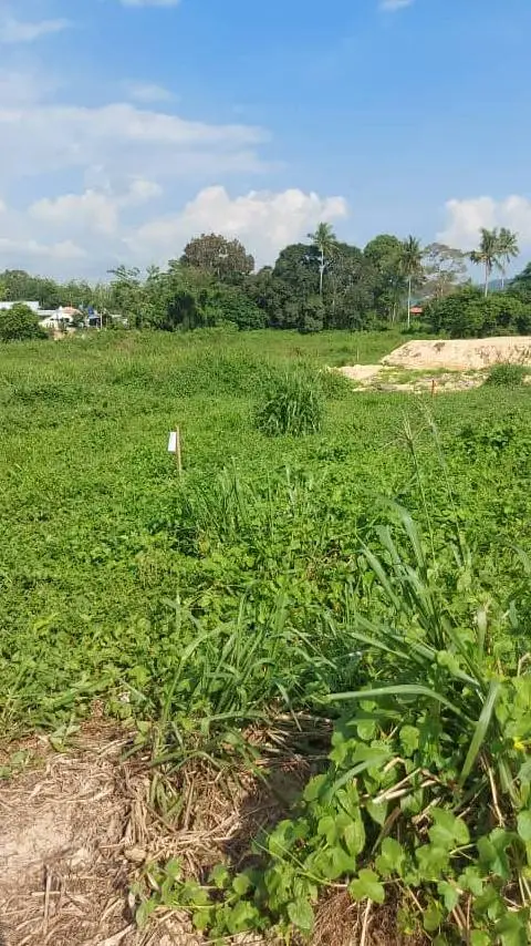 ai character: midnight mountains background