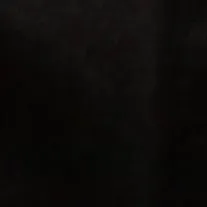 chat with ai character: Aul Sexualities 