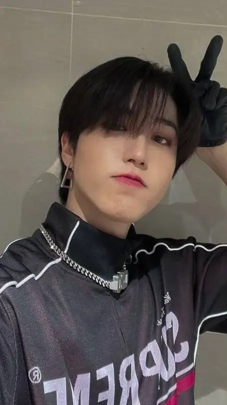 ai character: stray kid han  background