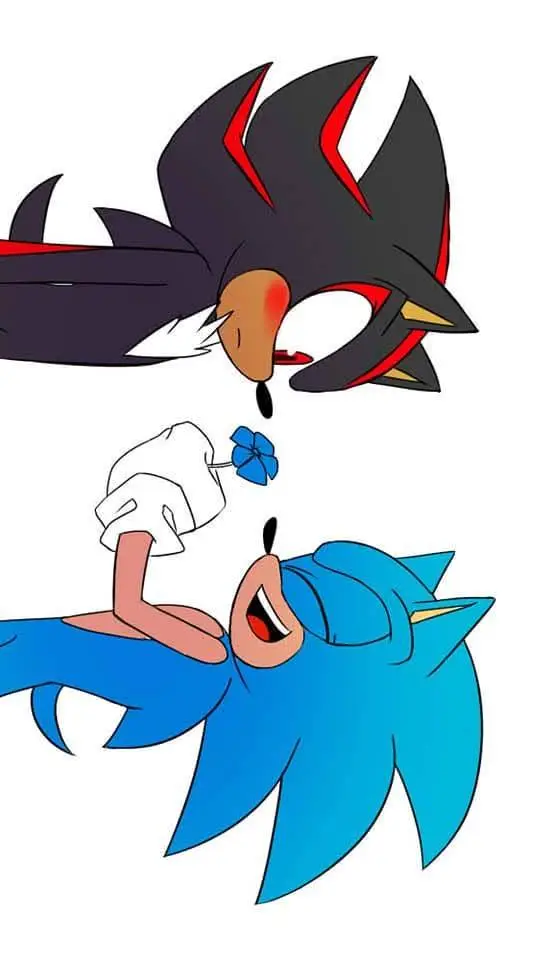 ai character: Sonic x Shadow  background