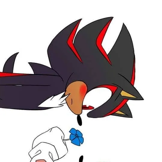 chat with ai character: Sonic x Shadow 