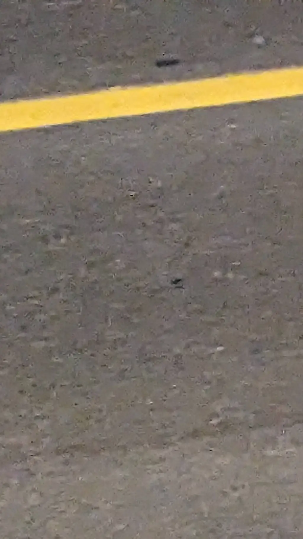 ai character: homeless karen background